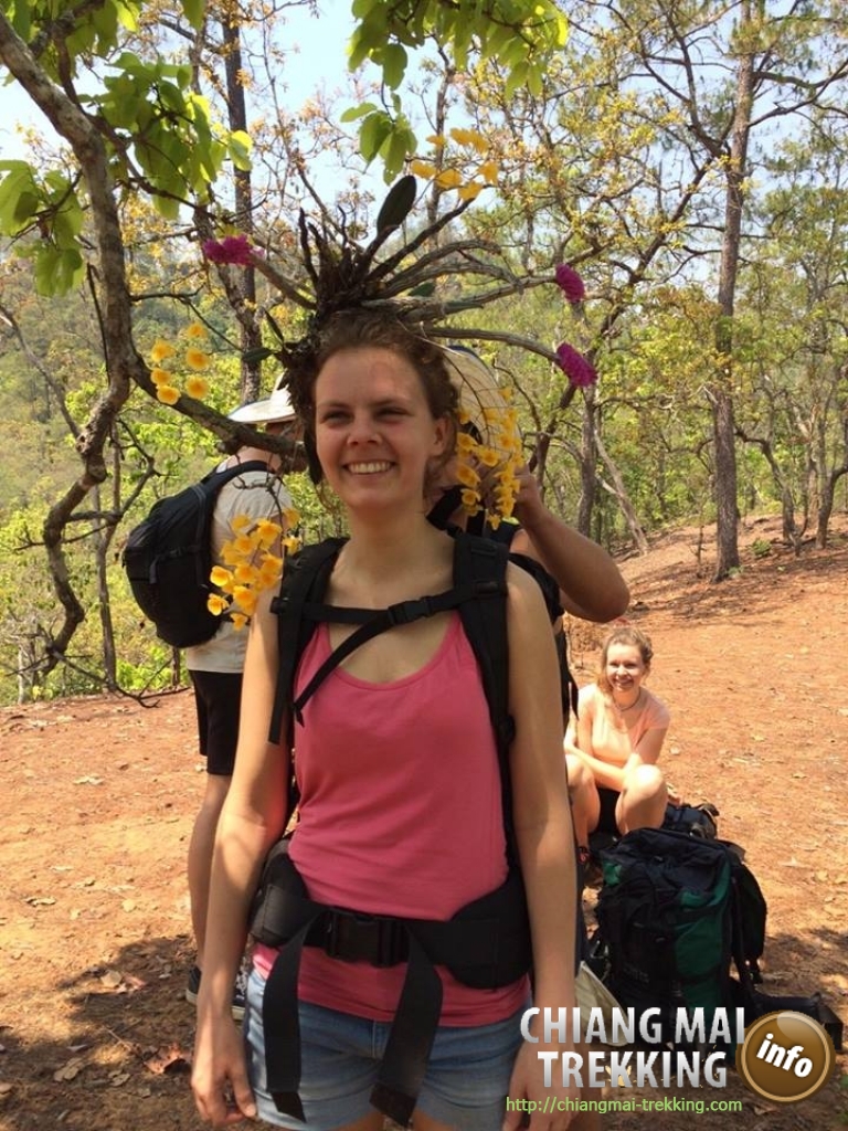 Wonderful 3-days/2-nights trekking | Chiang Mai Trekking | The best trekking in Chiang Mai with Piroon Nantaya